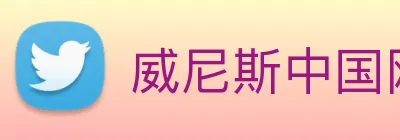 威尼斯中国网站 Logo